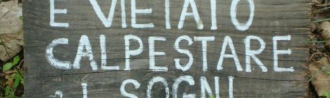 Non hai soldi per realizzare il tuo sogno? L’economia sociale ti può aiutare!
