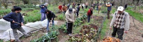 Orti urbani e didattici, buone pratiche ecologiche da suggerire alla città