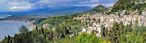 "Castagno dei 100 cavalli" finalista al concorso nazionale «Tree of the year» 2022